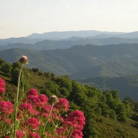Hébergement de vacances Du Petit Sourel Et Sa Vue Panoramique Moissac-Vallee-Francaise