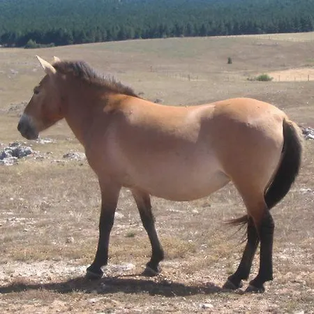 Hébergement de vacances Du Petit Sourel Et Sa Vue Panoramique