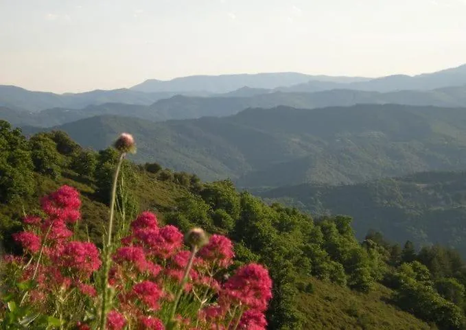 Сasa de vacaciones Du Petit Sourel Et Sa Vue Panoramique Moissac-Vallee-Francaise