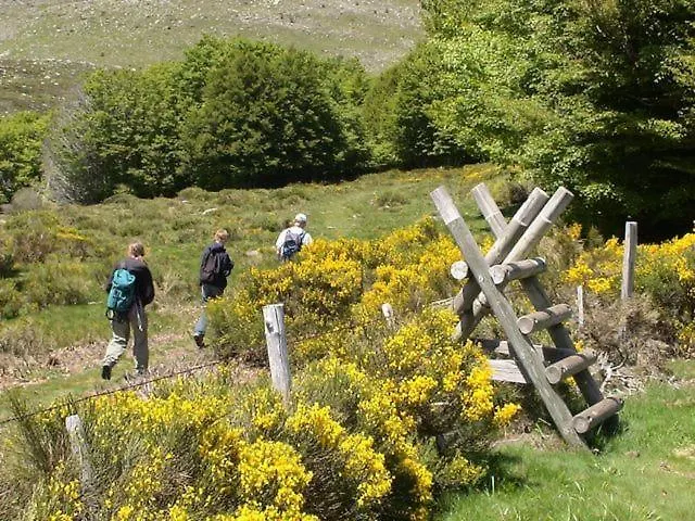 Du Petit Sourel Et Sa Vue Panoramique